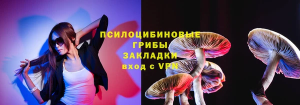 молекула духа Вязьма