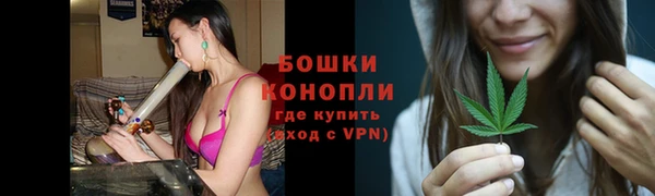 молекула духа Вязьма
