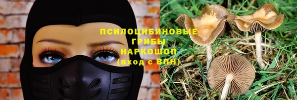 apvp Вязники