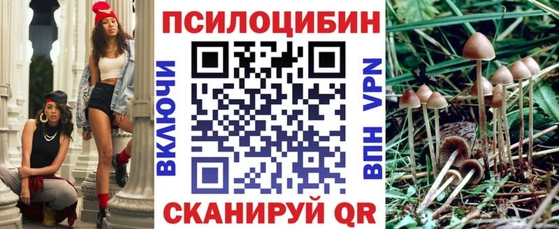 Галлюциногенные грибы прущие грибы  Купить закладки  Дегтярск 